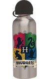 ALU láhev Harry Potter silver 500 ml